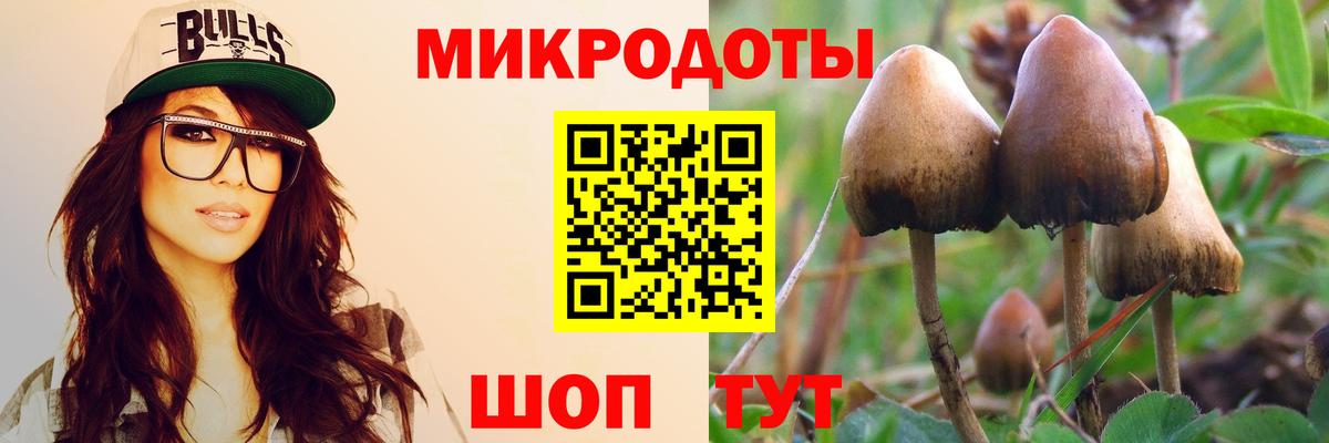 Звенигород  Галлюциногенные грибы GOLDEN TEACHER  купить закладку  Вход с VPN  Псилоцибиновые грибы Psilocybine cubensis 